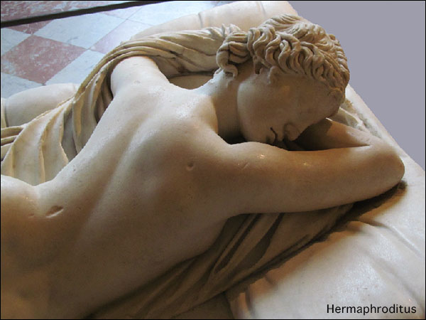 Hermaphroditus