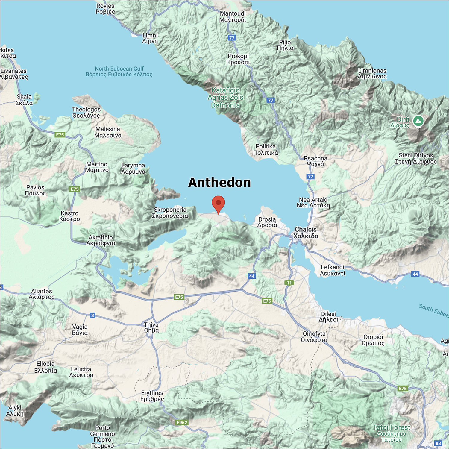 Anthedon