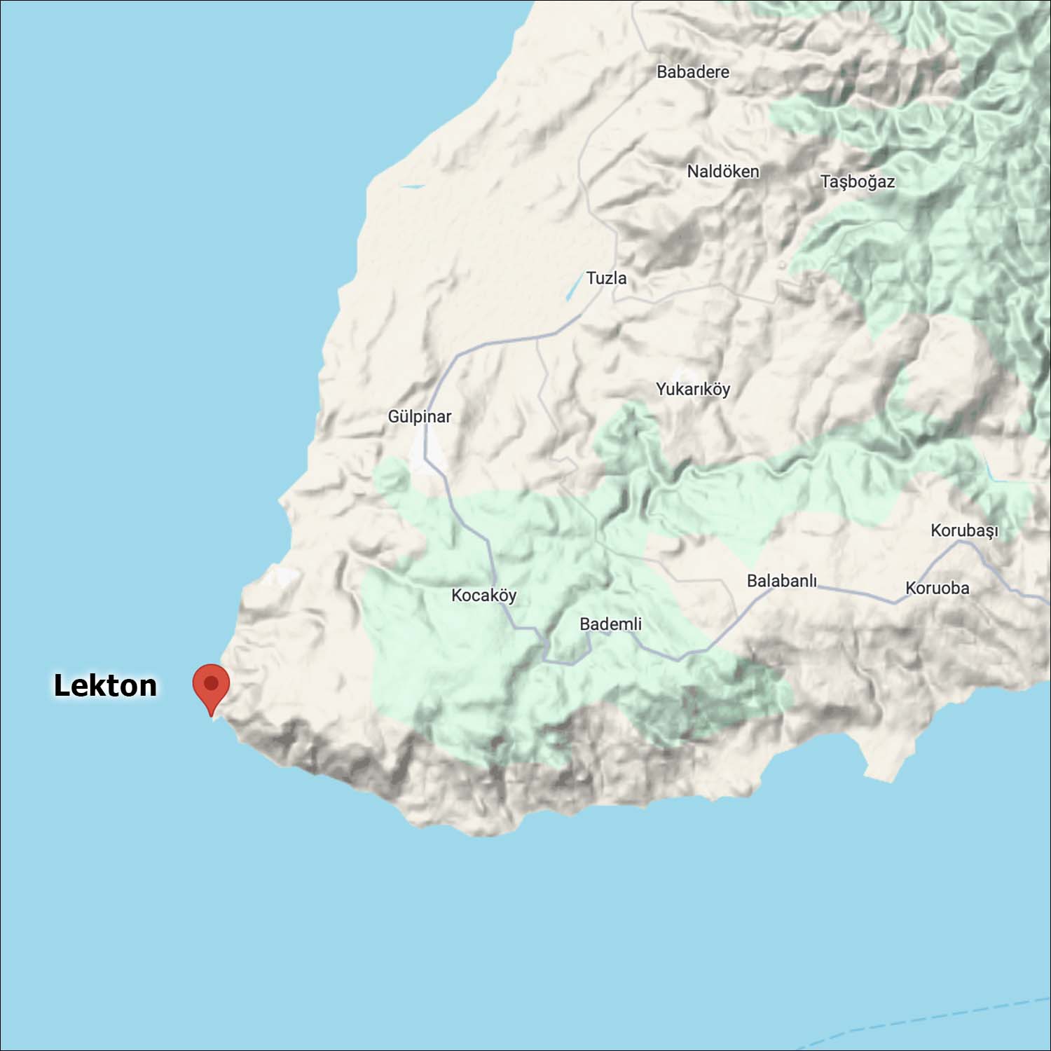 Lekton