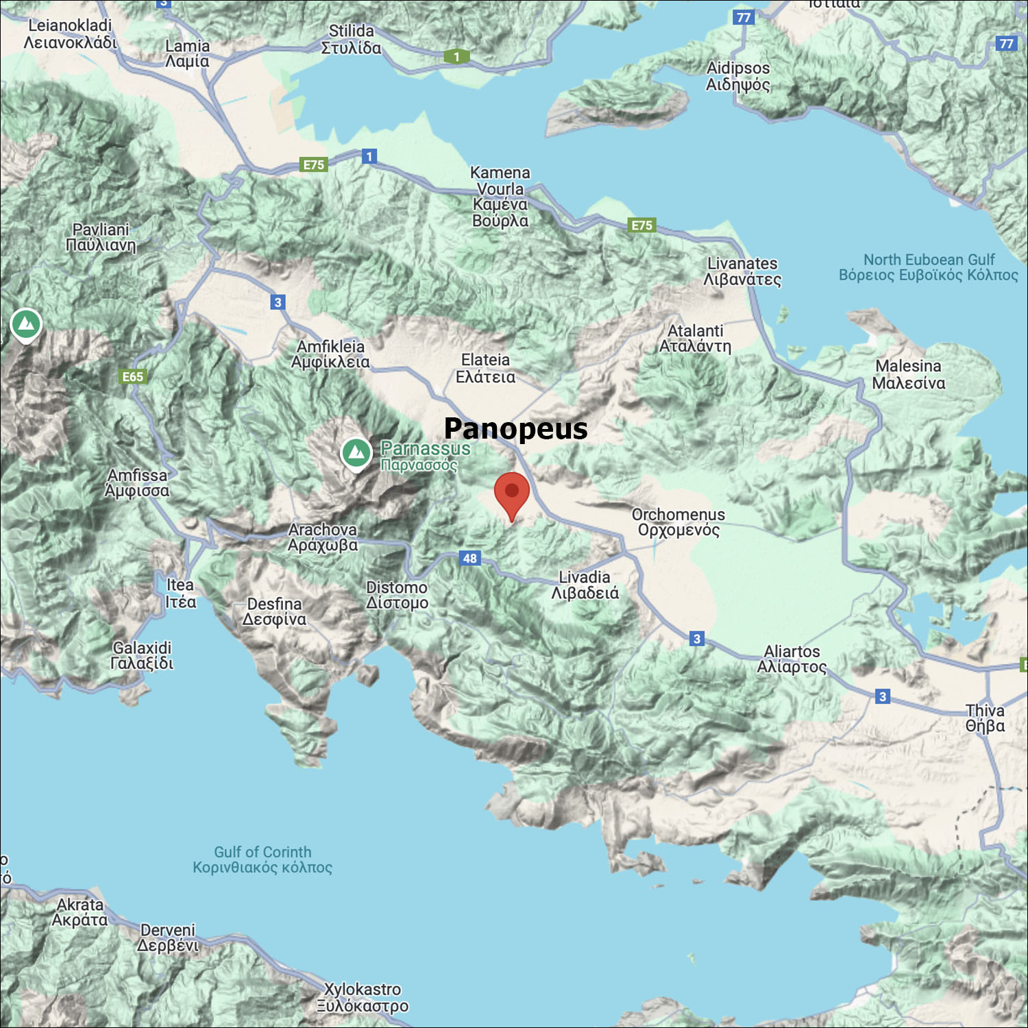 Panopeus